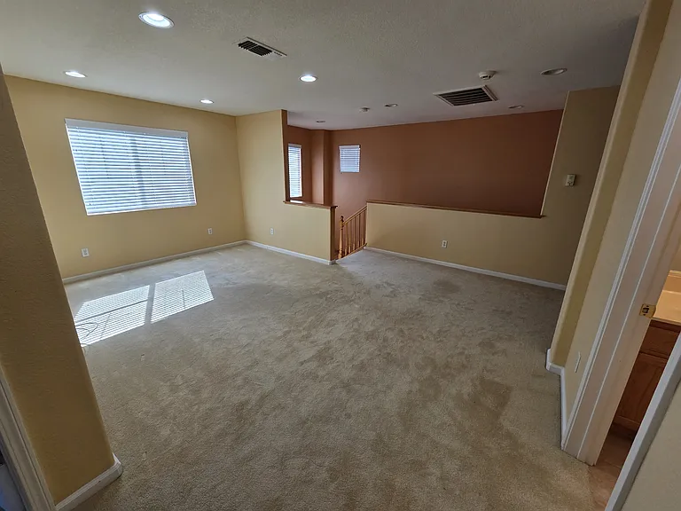 4206 Virginia Pine Ct — Photo 21