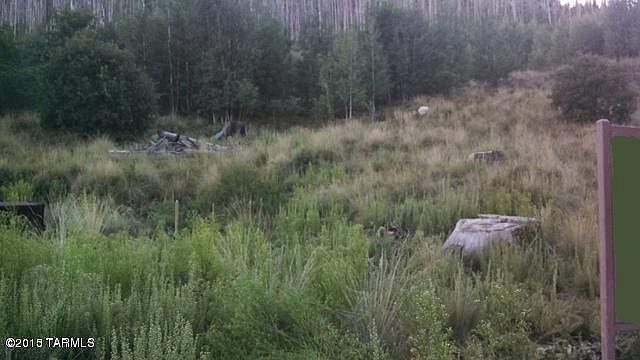 2nd image of Tbd Carter Canyon Rd #4