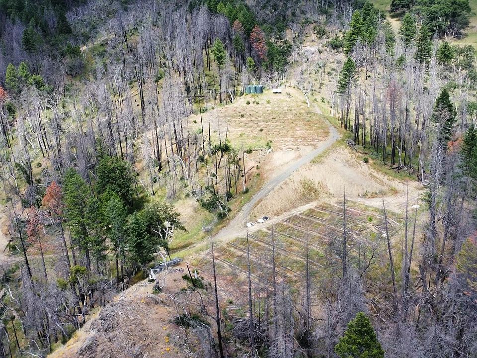 1st image of 538 Holly Creek Ln