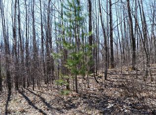 4 Log Lodge Rd #4, Winter, WI 54896