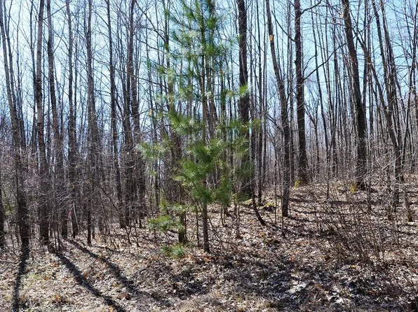 4 Log Lodge Rd #4, Winter, WI 54896