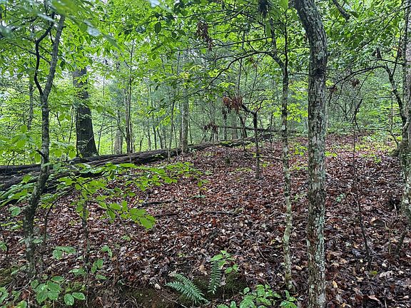 5th image of 8 Cedar Hill Rd