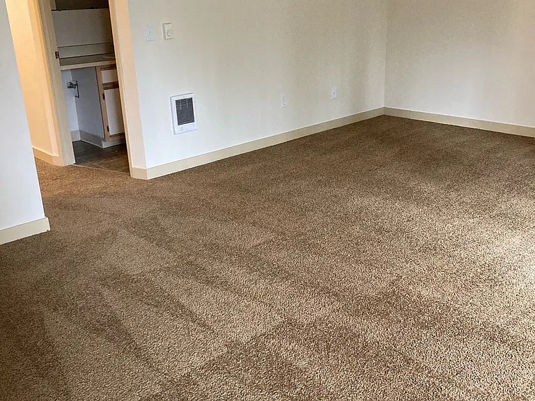 Premier Apartments — Photo 18