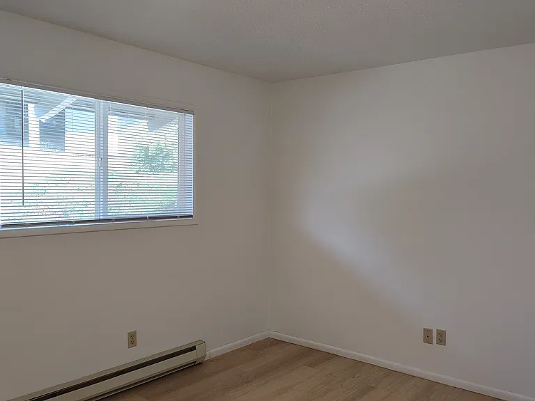 Back bedroom