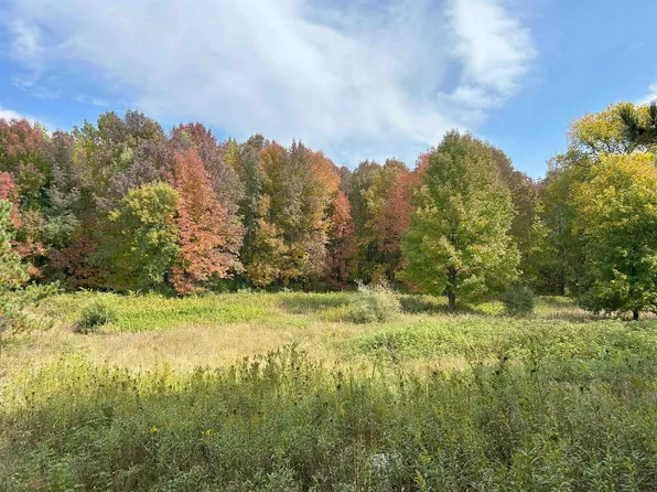 Curtis Ln, Tigerton, WI 54486