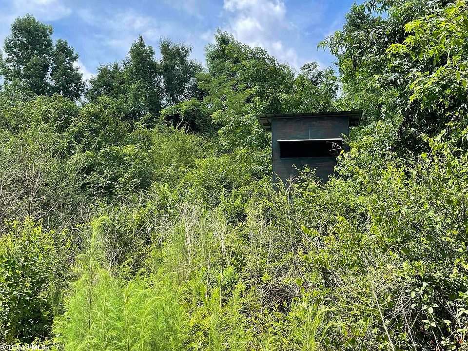 0 Highway 168, Century, FL 32535 MLS 348721 Zillow