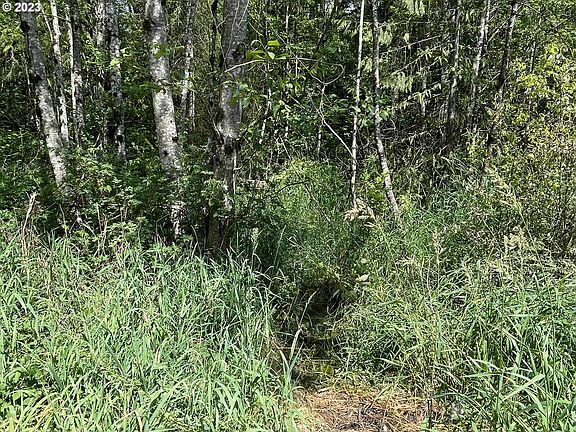 3rd image of Spirit Lake Hwy #37