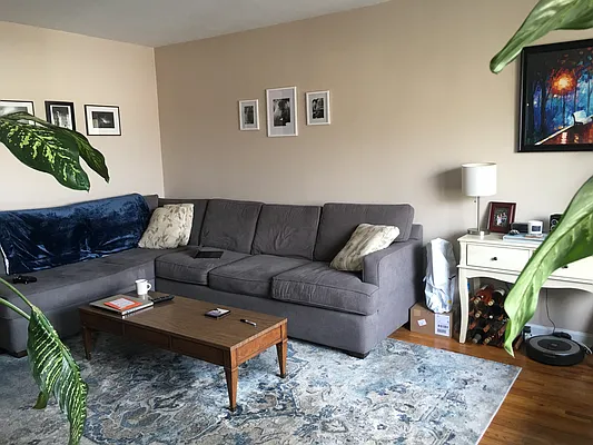 Rented by Amorelli Realty | media 16