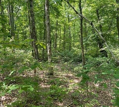 4th image of 5 N Campbell Rd Lot 5