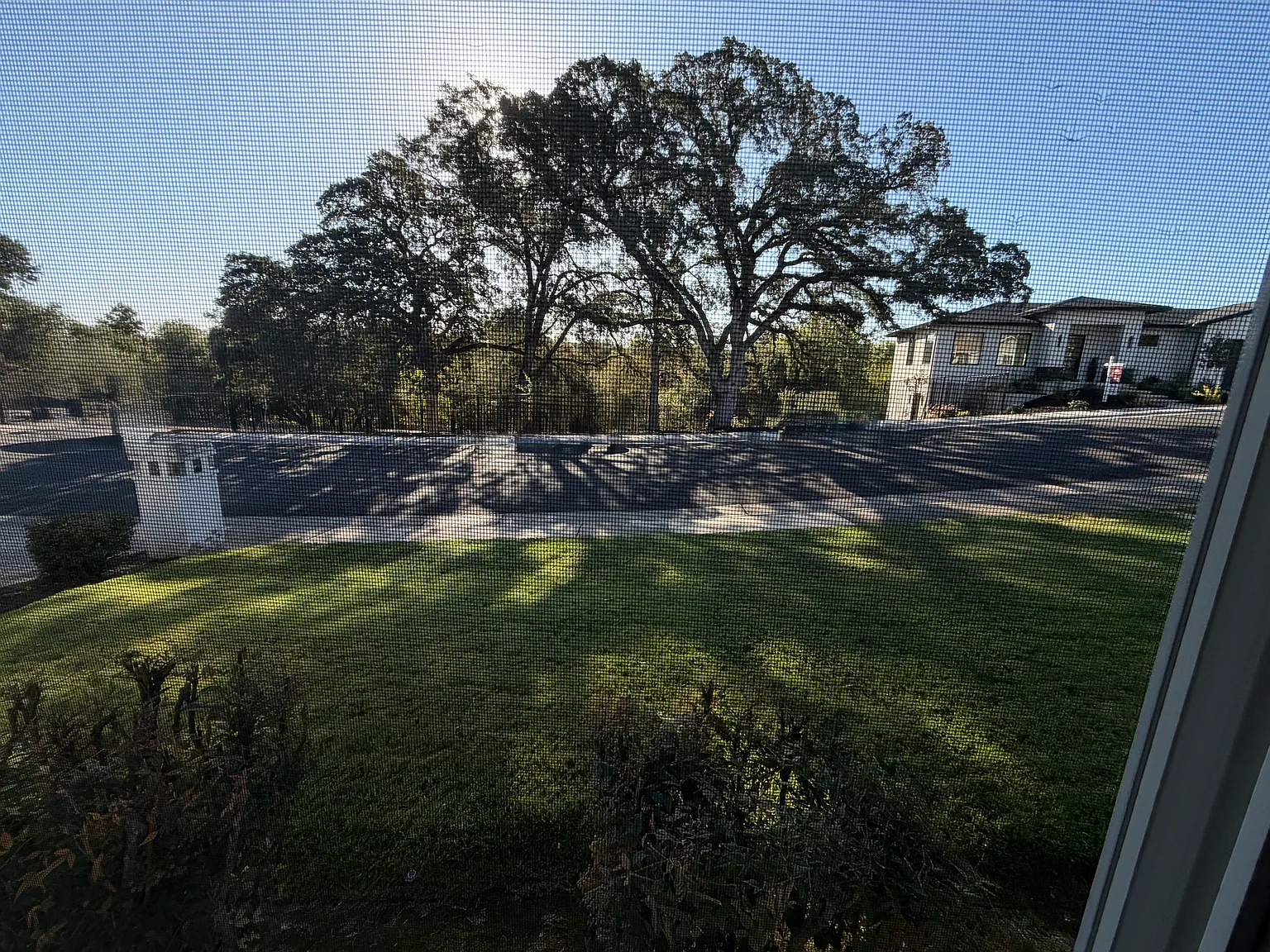 2 bed, 859 sqft, $2,250 — Photo 4