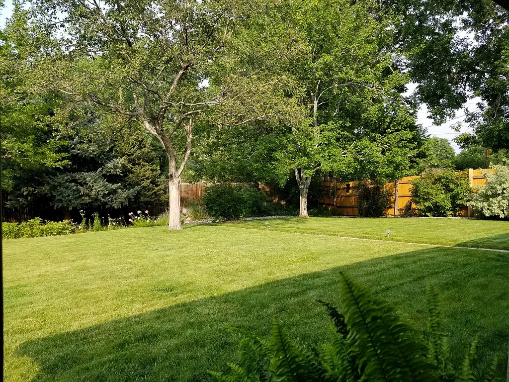 5 bed, 2400 sqft, $650 — Photo 1