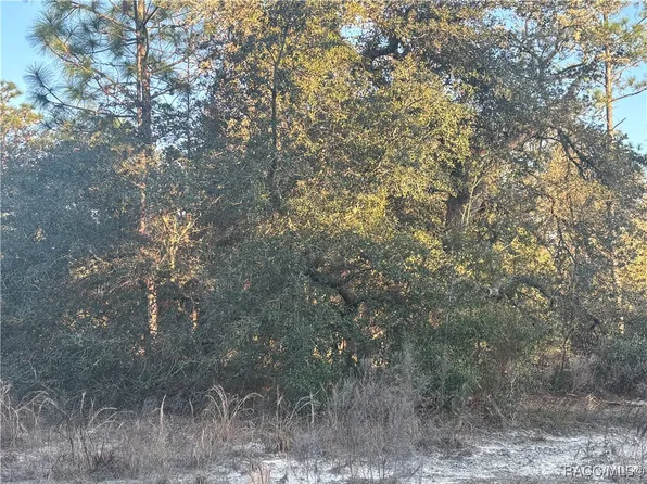 0 SW Gardenia Ct, Dunnellon, FL 34431