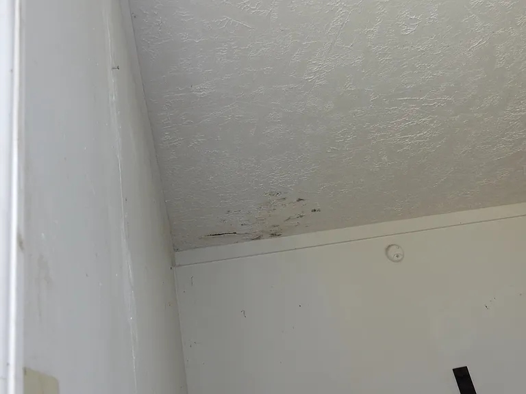 807 Lex St — Photo 17