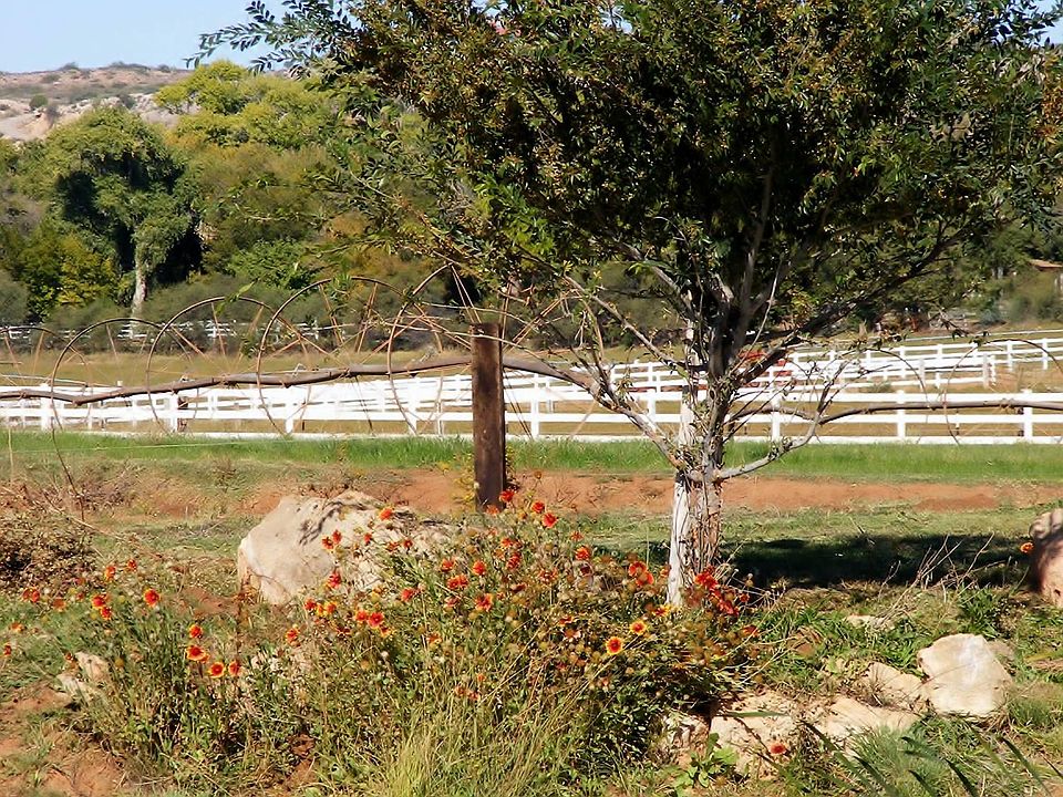 1st image of 11093 E Majestic Vista Ln Lot 4