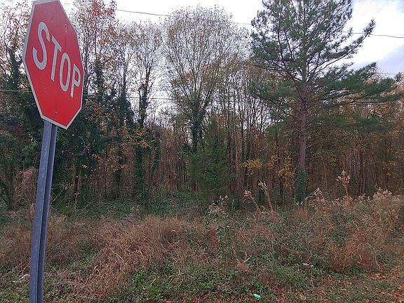 5th image of 2879 Millstone Dr