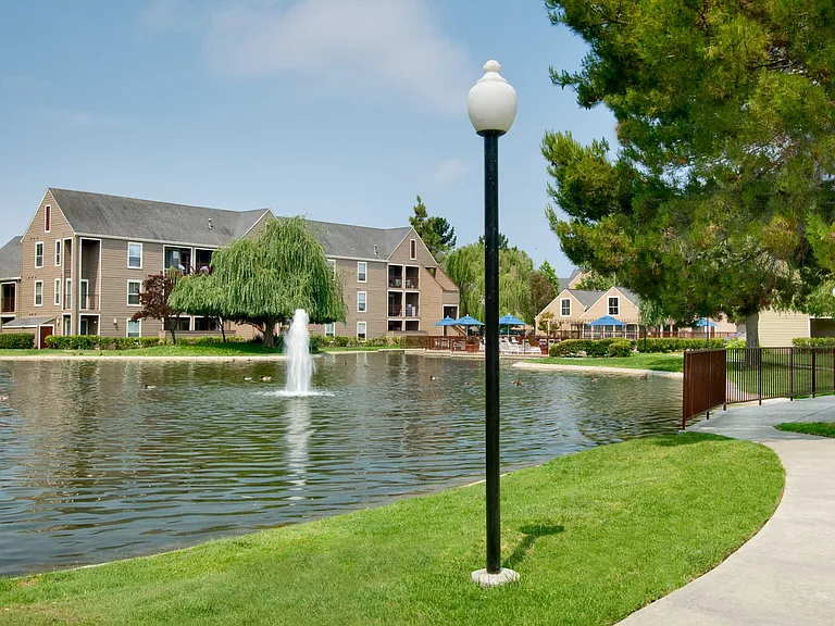 Pond
