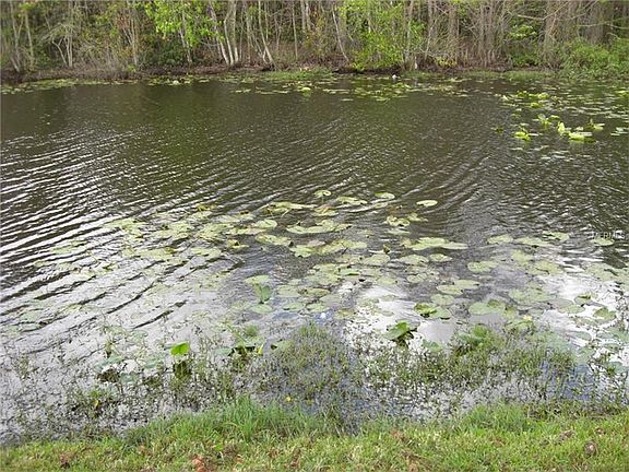 4th image of 536 Pinesong Dr