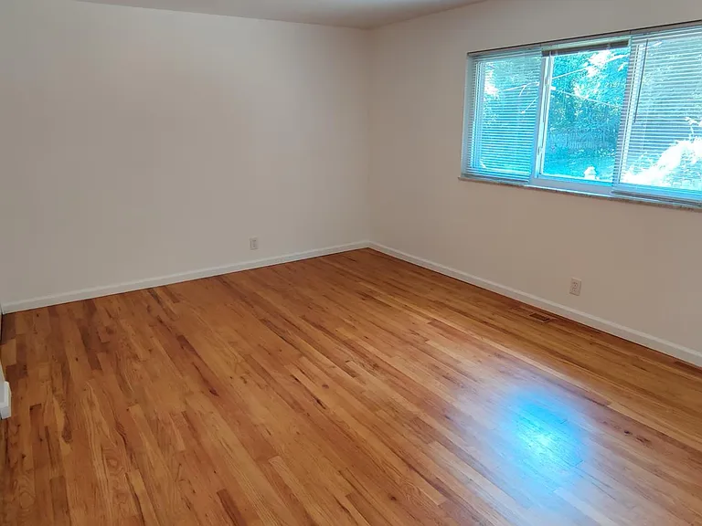 81 Forestvale Dr — Photo 16