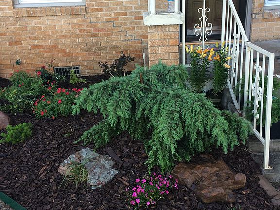 3rd image of 1436 NW 23rd St