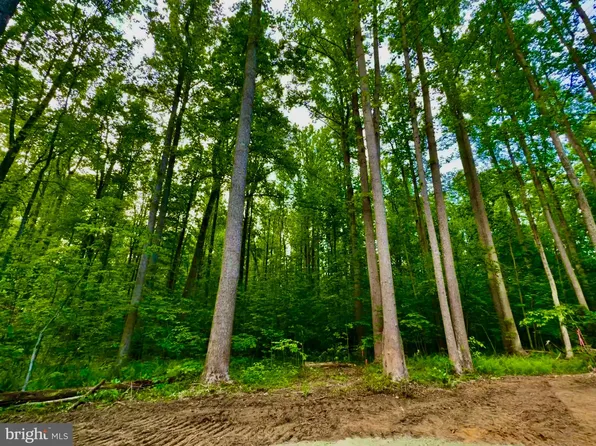 0 Hoover Rd, Reva, VA 22735