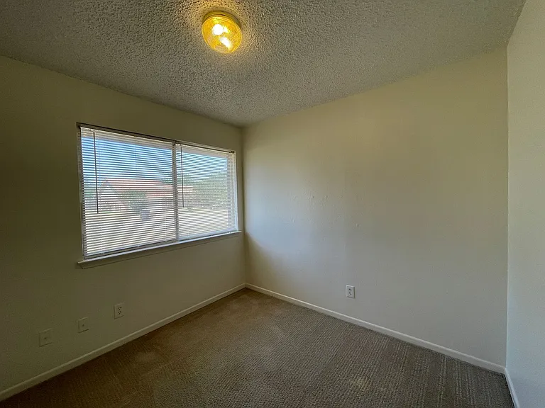 4502 Whitmire Ln — Photo 11