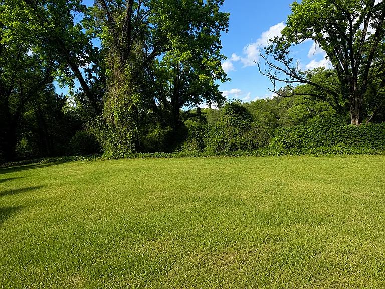 8457 Thomaston Rd — Photo 22