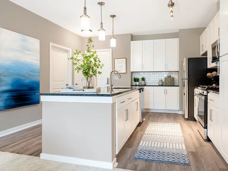 Designer Collection Kitchen