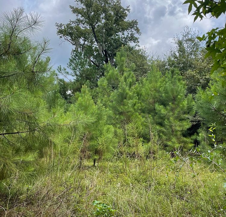 Tillman Rd, Ridgeland, SC 29936 Zillow