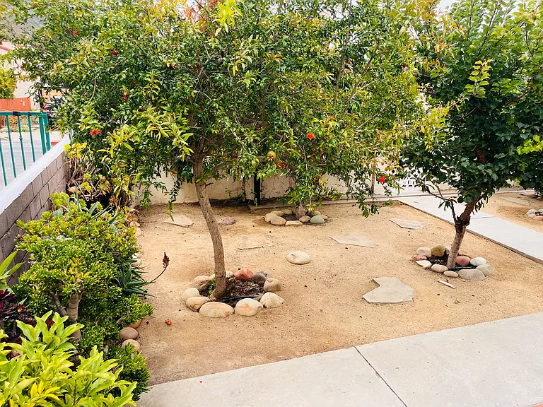E McFarlane Dr — Photo 12