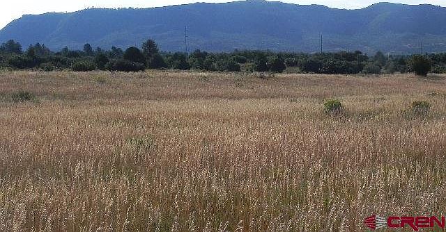 1st image of 9181 County Road 141