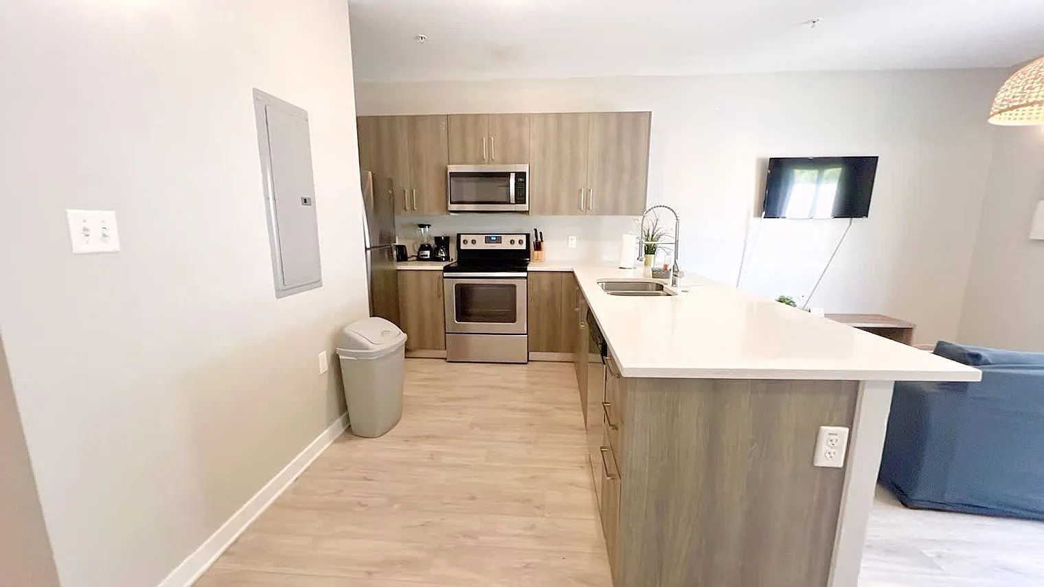 3 bed, 2.0 bath, 1367 sqft, $3,450 — Photo 3
