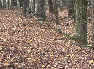 31 Sunset Rd, Bristol, NH 03222