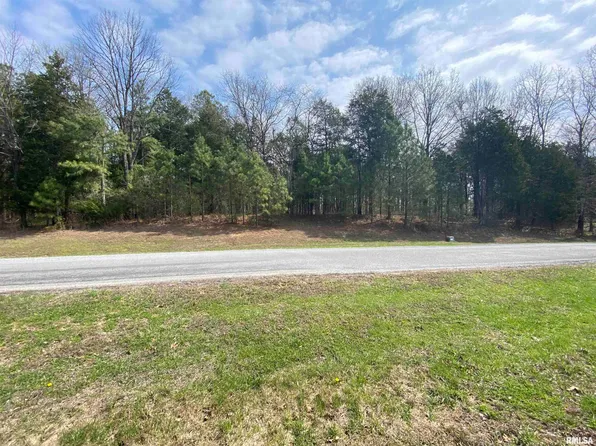 396 & 399 Parrish Ridge Rd, Goreville, IL 62939