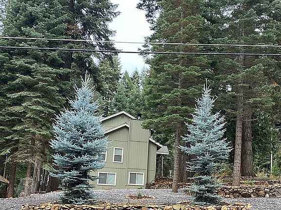Side Yard North_1