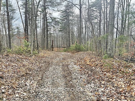 4th image of 0 Birch Run Rd