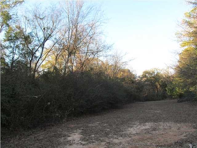2nd image of Russell Ln
