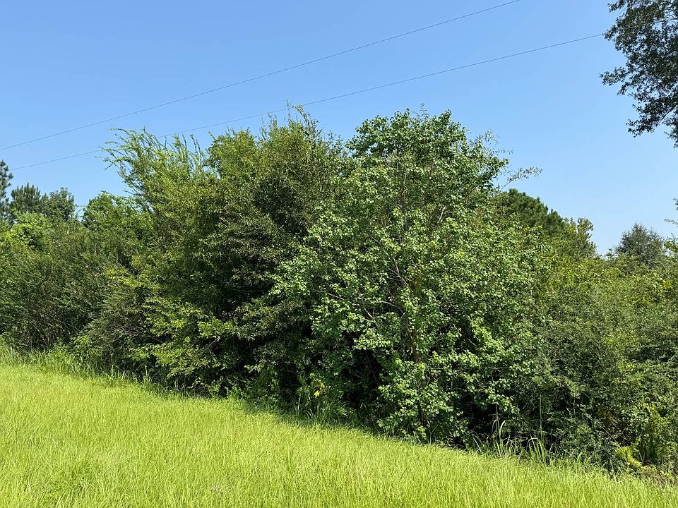 2nd image of 0 Kynesville Rd