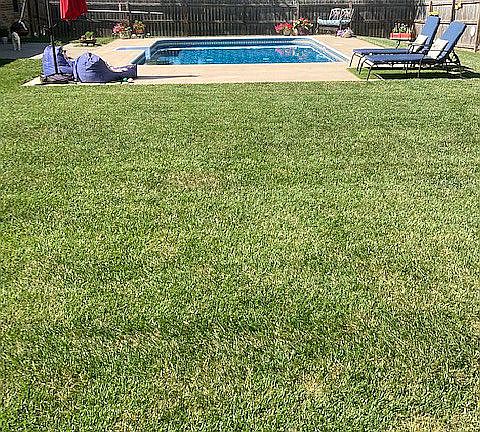 Pool 3