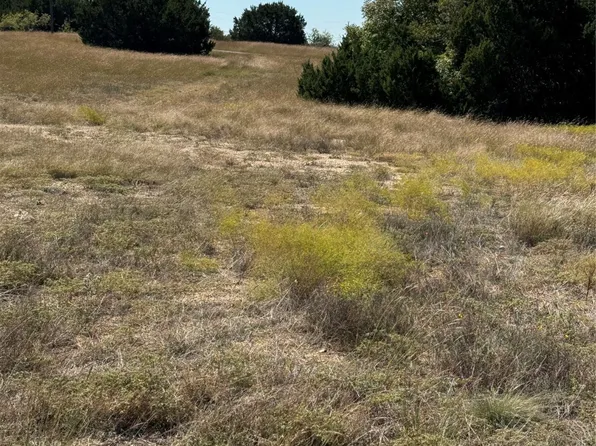 10042 Crestridge Dr, Whitney, TX 76692