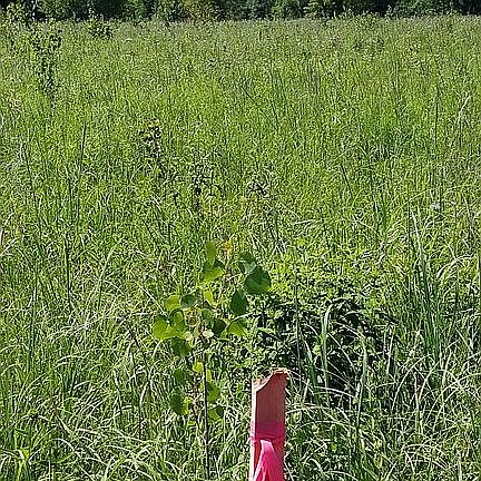 4th image of 1404 County Road 5 SW