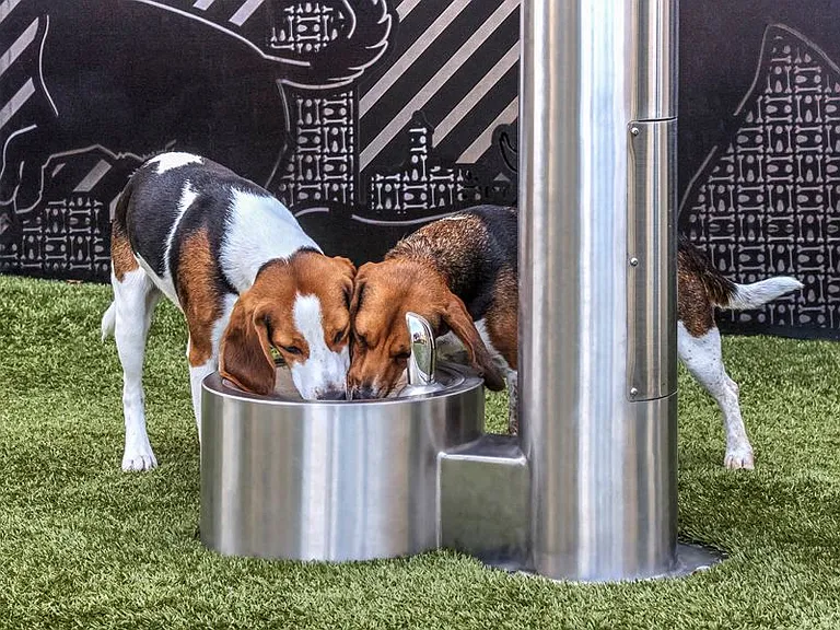 Pet-friendly community with dog park