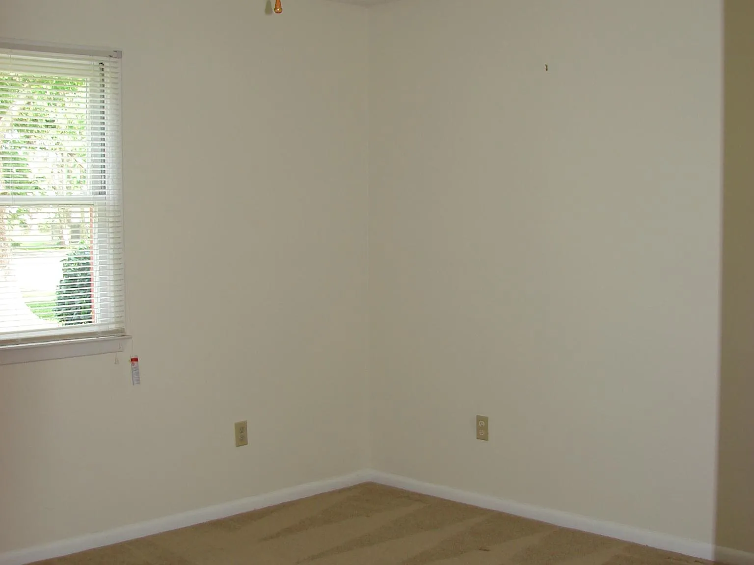3 bed, 1834 sqft, $1,800 — Photo 4