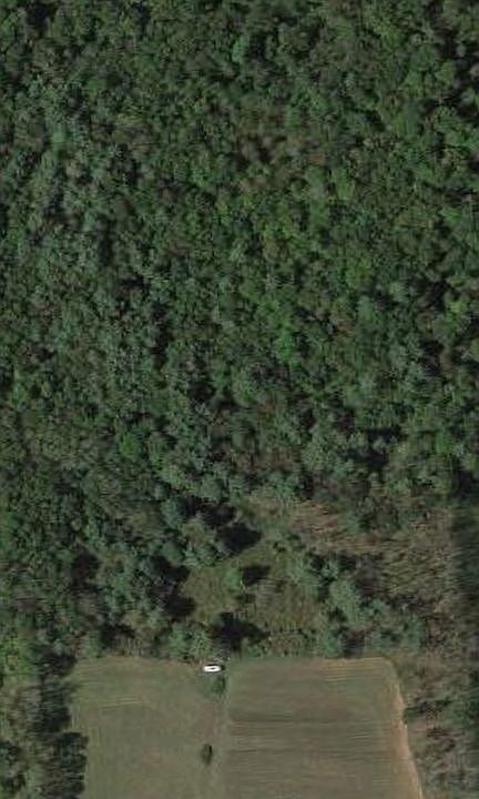 24 acres 1/3 field,2/3 woods
