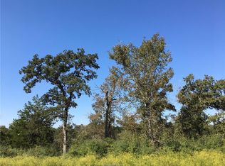 9767 Lancaster Dr, Iola, TX 77861