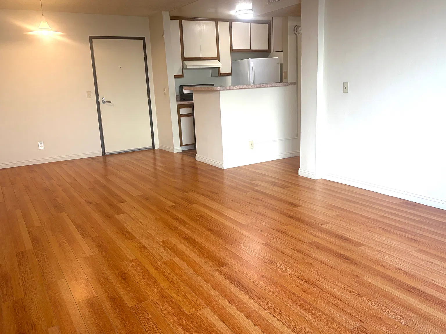1 bed, 700 sqft, $1,850 — Photo 2