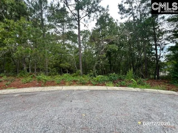 4 Lost Dog Ct, Elgin, SC 29045