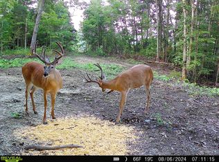 541 Little South Rd, Hustonville, KY 40437