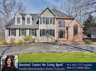 10 Block Ct, Randolph, NJ 07869
