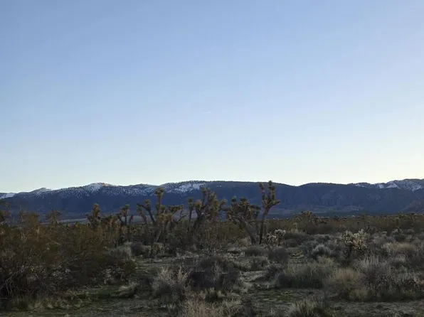 Vic Avenue Ste #V-253, Palmdale, CA 93591