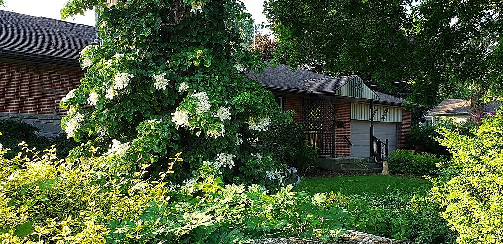 418 Briar Ln photo 1